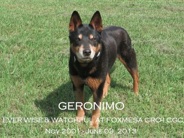 IMG_4861 Geronimo crop text